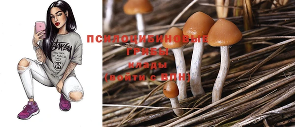 каннабис Покачи