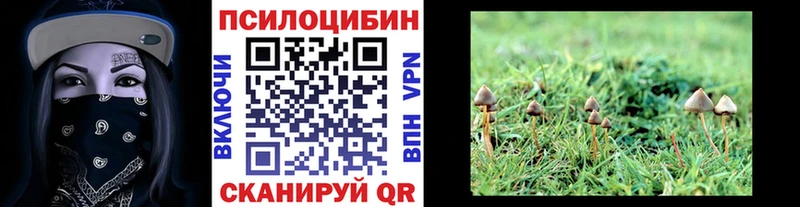 гидра рабочий сайт  Луза  Псилоцибиновые грибы мухоморы 